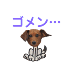 KCP (mami fam)（個別スタンプ：14）