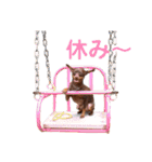 KCP (mami fam)（個別スタンプ：16）