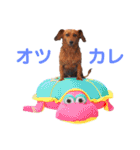 KCP (mami fam)（個別スタンプ：17）