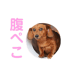 KCP (mami fam)（個別スタンプ：19）