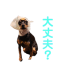 KCP (mami fam)（個別スタンプ：21）