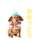 KCP (mami fam)（個別スタンプ：23）