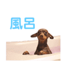 KCP (mami fam)（個別スタンプ：25）
