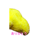 黄色いインコ。自分発信編。（個別スタンプ：5）