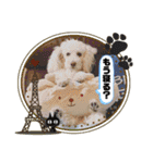 エル♀と仲間たち（個別スタンプ：2）