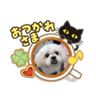 エル♀と仲間たち（個別スタンプ：27）