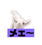 文章2（個別スタンプ：1）