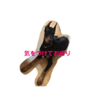 ドーベルマンと家族（個別スタンプ：9）