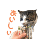 くーちゃんスタンプPART.4超増量‼️（個別スタンプ：8）