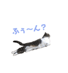くーちゃんスタンプPART.4超増量‼️（個別スタンプ：27）