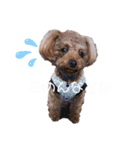 スタンプこむぎちゃん（個別スタンプ：3）