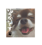 木下家の天使 2（個別スタンプ：4）