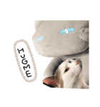 ねこのけだまスタンプ（個別スタンプ：4）