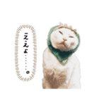 ねこのけだまスタンプ（個別スタンプ：6）