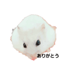 い·ぬ·（個別スタンプ：4）