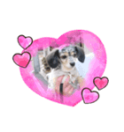 可愛いこた♡（個別スタンプ：4）