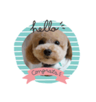 marolove（個別スタンプ：1）