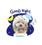 marolove（個別スタンプ：3）