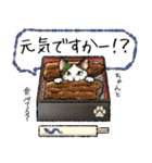 食べものになりたいねこたちの日常（個別スタンプ：21）