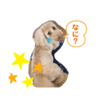 まつのすたんぷ 2（個別スタンプ：5）