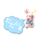 まつのすたんぷ 2（個別スタンプ：7）