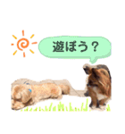 まつのすたんぷ 2（個別スタンプ：10）