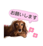 まつのすたんぷ 2（個別スタンプ：13）