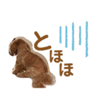 まつのすたんぷ 2（個別スタンプ：14）