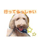 まつのすたんぷ 2（個別スタンプ：15）
