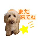 まつのすたんぷ 2（個別スタンプ：16）