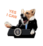 corgi :P ベロ出しコーギー2（個別スタンプ：7）