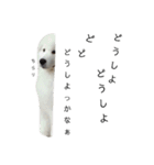 サモさん（個別スタンプ：32）