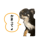 らいむの日常3（個別スタンプ：3）