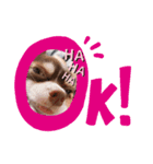 maromeeen（個別スタンプ：1）