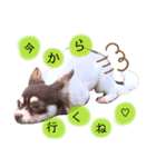 maromeeen（個別スタンプ：3）