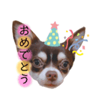 maromeeen（個別スタンプ：7）