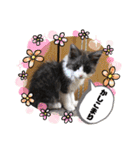 タマやん♡（個別スタンプ：1）