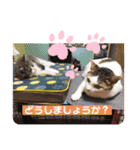 タマやん♡（個別スタンプ：4）