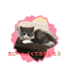 タマやん♡（個別スタンプ：11）
