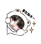 タマやん♡（個別スタンプ：13）