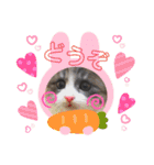 タマやん♡（個別スタンプ：14）