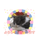 タマやん♡（個別スタンプ：18）