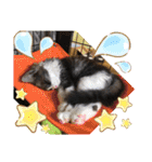 タマやん♡（個別スタンプ：19）