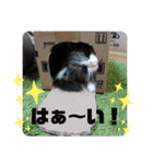 タマやん♡（個別スタンプ：20）