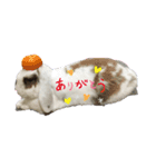 はなくんの日常（個別スタンプ：2）