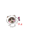 にゃんちゃんずー  [日常 あいさつ]（個別スタンプ：23）