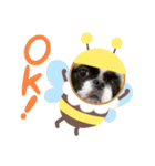 ペキニーズ 幸せになれ（個別スタンプ：3）