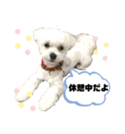 愛くるしいものたち（個別スタンプ：1）