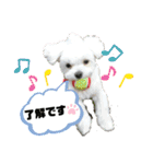 愛くるしいものたち（個別スタンプ：2）