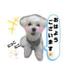 愛くるしいものたち（個別スタンプ：4）